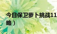 今日保卫萝卜挑战11（保卫萝卜挑战11关攻略）