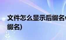 文件怎么显示后缀名win11(文件怎么显示后缀名)