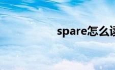 spare怎么读（spare）