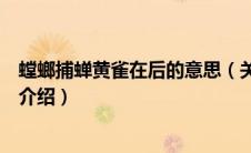 螳螂捕蝉黄雀在后的意思（关于螳螂捕蝉黄雀在后的意思的介绍）