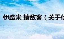 伊路米 揍敌客（关于伊路米 揍敌客的介绍）