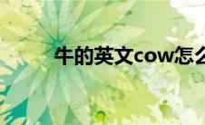 牛的英文cow怎么读音(牛的英文)