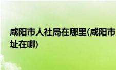 咸阳市人社局在哪里(咸阳市人力资源和社会保障局 具体地址在哪)