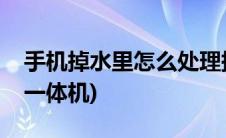 手机掉水里怎么处理掉(手机掉水里怎么处理一体机)