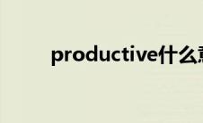 productive什么意思（product）