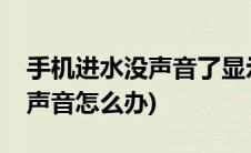 手机进水没声音了显示耳机模式(手机进水没声音怎么办)