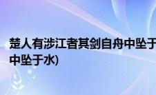 楚人有涉江者其剑自舟中坠于水翻译(楚人有涉江者其剑自舟中坠于水)