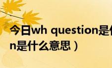 今日wh question是什么意思（wh-question是什么意思）