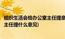 组织生活会给办公室主任提意见和建议(民主生活会给办公室主任提什么意见)