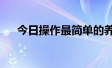 今日操作最简单的养牛发酵床制作方法