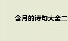 含月的诗句大全二年级(含月的诗句)