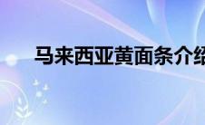 马来西亚黄面条介绍(马来西亚黄面条)