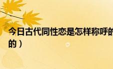 今日古代同性恋是怎样称呼的女性（古代同性恋是怎样称呼的）