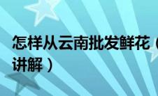 怎样从云南批发鲜花（从云南批发鲜花的方法讲解）