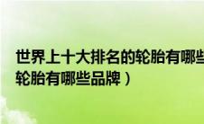 世界上十大排名的轮胎有哪些品牌名称（世界上十大排名的轮胎有哪些品牌）