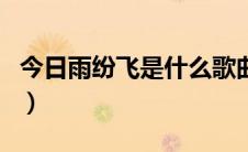 今日雨纷飞是什么歌曲（雨纷飞这首歌的歌词）