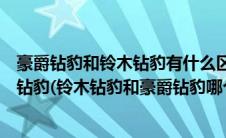 豪爵钻豹和铃木钻豹有什么区别（怎样区别铃木钻豹和豪爵钻豹(铃木钻豹和豪爵钻豹哪个摩托车好)）