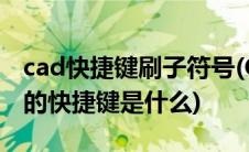 cad快捷键刷子符号(CAD里面 那个刷子图标的快捷键是什么)