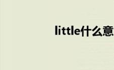 little什么意思（little）