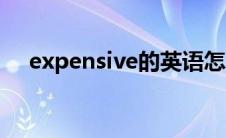 expensive的英语怎么读（expensive）