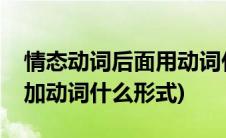 情态动词后面用动词什么形式(情态动词后面加动词什么形式)