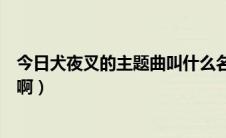 今日犬夜叉的主题曲叫什么名字（犬夜叉片尾曲名字是什么啊）