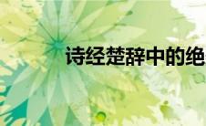 诗经楚辞中的绝美名字（诗经）