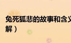 兔死狐悲的故事和含义简短（兔死狐悲如何理解）