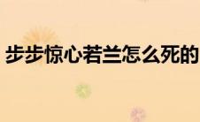 步步惊心若兰怎么死的（步步惊心剧情简介）