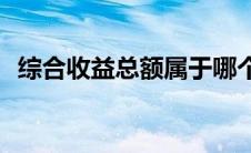 综合收益总额属于哪个科目(综合收益总额)