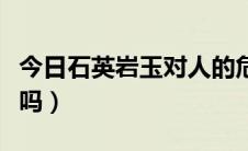 今日石英岩玉对人的危害（石英岩玉对人有害吗）