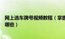 网上选车牌号视频教程（掌握四种网上选车牌号的小技巧有哪些）