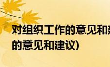 对组织工作的意见和建议和建议(对组织工作的意见和建议)