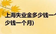 上海失业金多少钱一个月2022(上海失业金多少钱一个月)