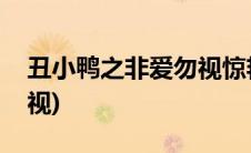 丑小鸭之非爱勿视惊艳片段(丑小鸭之非爱勿视)