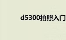 d5300拍照入门教程（d5300）