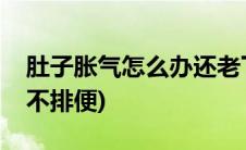 肚子胀气怎么办还老下坠(肚子胀气怎么办还不排便)