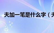 夫加一笔是什么字（夫加一笔变成什么字）