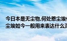 今日本是无尘物,何处惹尘埃什么意思?（世间本无物何处惹尘埃如今一般用来表达什么深意）