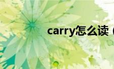 carry怎么读（carry读法）