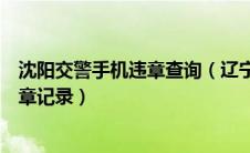 沈阳交警手机违章查询（辽宁沈阳交警微信公众平台可查违章记录）