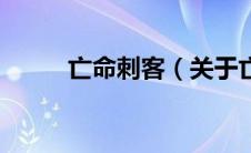 亡命刺客（关于亡命刺客的介绍）