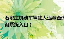 石家庄机动车驾驶人违章查询系统官网（许昌机动车违章查询系统入口）