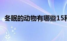 冬眠的动物有哪些15种（冬眠的动物介绍）