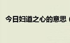 今日妇道之心的意思（妇人之心什么意思）