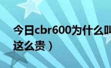 今日cbr600为什么叫仿赛（cbr600为什么 这么贵）