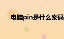 电脑pin是什么密码（电脑pin是什么）