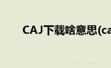 CAJ下载啥意思(caj下载是什么意思)