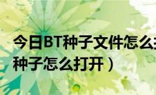 今日BT种子文件怎么打开（bt种子怎么用_bt种子怎么打开）