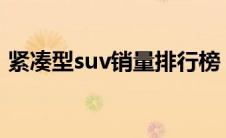 紧凑型suv销量排行榜（紧凑型SUV啥意思）